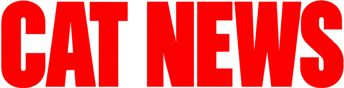 Cat News